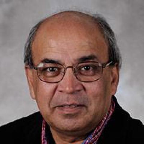 Ashok Goel